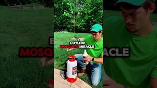I Tried Mosquito Miracle Instead of Chemicals and WOW!