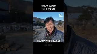 투자금이 들지 않는 고소득 귀농 작물