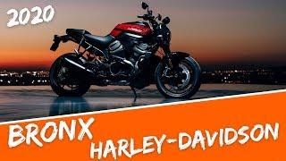 2020 BRONX Streetfighter von Harley Davidson #EICMA #Bronx #Harleysite #BronxHarley