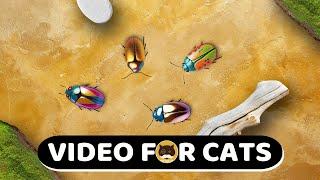 CAT GAMES - Bugs. Insects Video for Cats | CAT TV | 1 Hour.