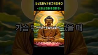 인생고민 부처님의 지혜로 듣다-삶의 의미와 공허함편- 제10화 가슴뛰는 일이 없을때  #부처님말씀 #명언 #자기수행 #부처님가르침 #인생고민 #삶의고민  #격언 #수행