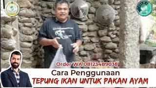 CARA MENGGUNAKAN TEPUNG IKAN UNTUK PAKAN AYAM KAMPUNG DAN SEMUA JENIS AYAM LAINNYA