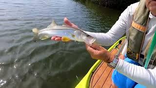 Snook Fishing off of 45th Street, Vero