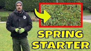 Start to Sort the MAIN PROBLEM in your LAWN this Spring