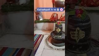 kailashpati h shivji#trending #shivbhakt #kailashpati #shivshankar #shivshakti #shortsviral #short