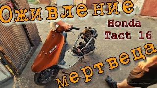 Оживление Мертвеца Honda Tact 16