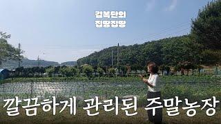 농막 포함 강화도 밭 매물 | 양사면 | 김복단의 집땅집땅 | 매물번호 16202 | 강화도부동산