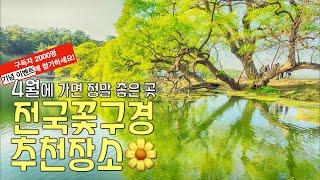 4월에가볼만한곳/봄꽃놀이/꽃구경장소/국내여행/사진잘찍는법/사진강의