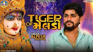 Alpesh Pirojpur | Tiger Of Meldi | Letest Gujarati Song 2022 | @bapjistudiolive_1819