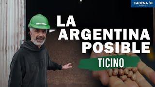 El pueblo que GENERA ENERGÍA con CÁSCARAS de MANÍ | CAP 3: TICINO