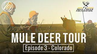 Mule Deer Tour: Episode 3 - Colorado W/ Hush + Infinite Outdoors