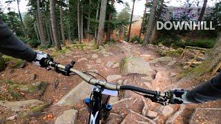 Sturz auf der heftigsten Downhill Strecke Deutschlands? Das erste mal EPIC DOWNHILL Bad Wildbad