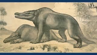 The Discovery Of Megalosaurus - The First Dinosaur