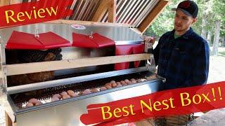 Best Nest Box Review