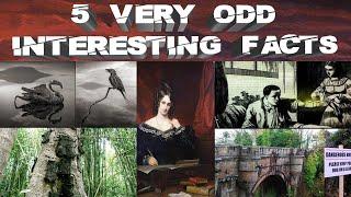 5 Very Odd and Interesting Facts In 3 Minutes