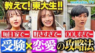 【受験生必見】受験最大の敵「恋愛」どう付き合うべき？東大生に聞いてみた！【wakatte TV】#1139