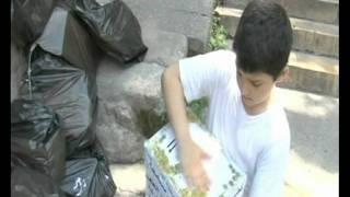 صندوق المعرفة (the box of knowledge  )