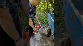 STIHL - MS 250 Work in the forest