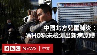 中國兒童肺炎感染潮：WHO稱未檢測出新病原體－ BBC News 中文