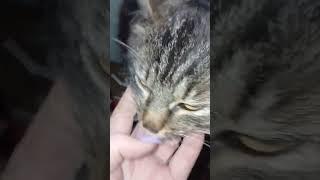 Мудрые мысли#мотивациядня #мудрость