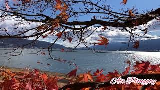 BEAUTIFUL LAKE SUWA @NAGANO-KEN