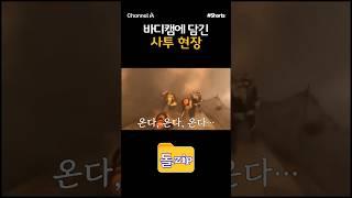 [돌zip] 바디캠에 담긴 사투 현장 / #채널A #shorts #김진의돌직구쇼 #김진