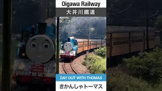 【きかんしゃトーマス】福用〜大和田駅間を走行する大井川鐵道のトーマス【電車が大好きな子供向け】Japanese Trains for Kids - Thomas the Tank Engine