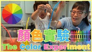 Color Experiment  in Chinese 顏色實驗 | STEAM 中文