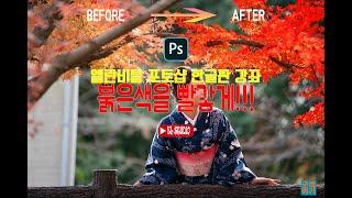 [포토샵 2021 한글판 강좌] 포토샵 색감 다큐냐 예술이냐 덜 붉은 단풍도 새빨갛게 만들기 두가지 방법! 그리고 세부적인 팁!!  (feat. 포토샵 선택색상)