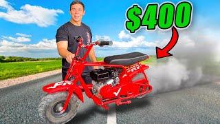 My new Minibike is way FASTER than I thought