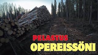 Pitkä peruutus ja melkein kaatunut koivupino