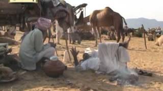 Pushkar Fair, Pushkar