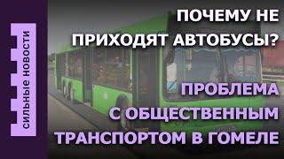 Завышение цен на ветпрепараты / В Беларуси зацвела сирень / СК составил портрет педофила