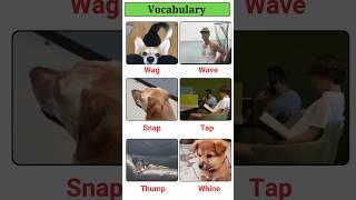 Learn English Vocabulary Words with Meanings 20