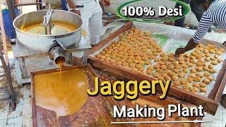 100% Natural Jaggery- Gur Making Business | Latest Business Ideas