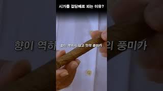 시가를 겉담배로 피는 이유?