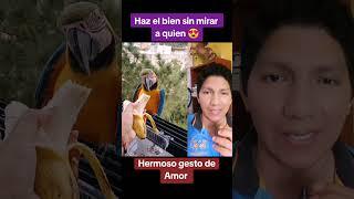 Mujer de buen corazón Alimenta unos loros #animales #fauna