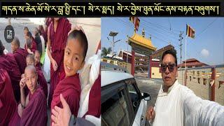 Long Life Offering || Tenshug From Sera Monestery ||Bylakuppe Karnataka || Tibetan Vlogger