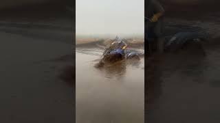 Everyone wishes they rode a canam #atv #yamaha #grizzly #660cc #swamplife #stuck #rescue #offroad