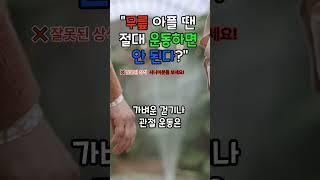  무릎 아플 땐 운동하면 안 된다?   오히려 더 악화됩니다! #무릎통증운동 #시니어관절관리 #무릎아플때운동 #9988건강상식 #관절통증완화