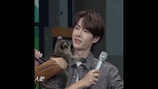 Wang Yibo with animals is such a adorable thing to watch