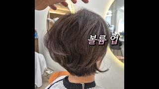 볼륨있는 중년여성 머리스타일 추천 보브컷 반곱슬모발에  손질이 편한 스타일이에요 #보브컷 #보브단발컷 #중년여성단발스타일추천 #볼륨살아보이는컷트 #뿌리볼륨 #정수리볼륨 #단발컷전문