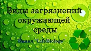 Виды загрязнений окружающей среды