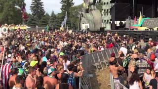 Allison Wonderland Full Set 2015 Electric Forest