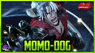T8 Season 2 ▰ MomoDog Beast Mode Devil Jin !【Tekken 8 High Level Gameplay】