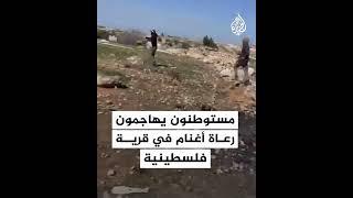 مستوطنون يهاجمون رعاة أغنام في قرية مسافر يطا جنوب الخليل