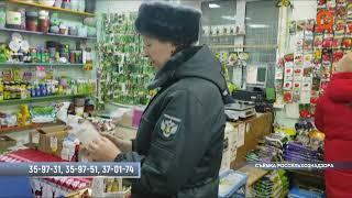 Россельхознадзор предупреждает: не покупайте "кота в мешке".