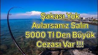 Öyle bir vurdu Ki oltayı kıracak sandım  !
