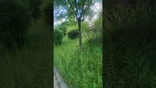김과 함께 먹으면 뼈가 튼튼해지는 음식#건강 #건강정보#의약지식 #올바른정보 #영양식