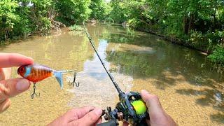 BFS Topwater Fishing Small Creek!